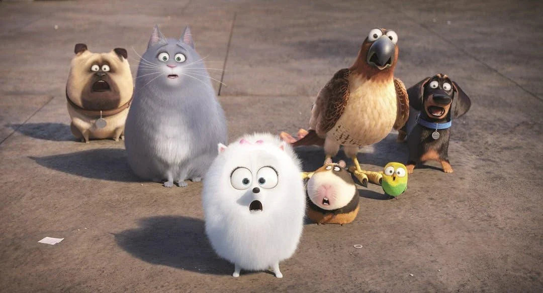 Secret Life Of Pets Movie Scene 2